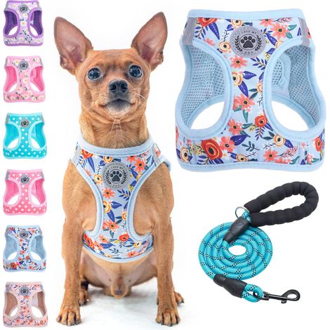 Ensemble Harnais et Laisse réfléchissants à Motif Floral pour Chien, Pas de tirage, Pas d'étouffement, Lavable en Machine, Maille rembourrée Douce, Laisse de 1,5 m, Convient pour Petits (1/5)