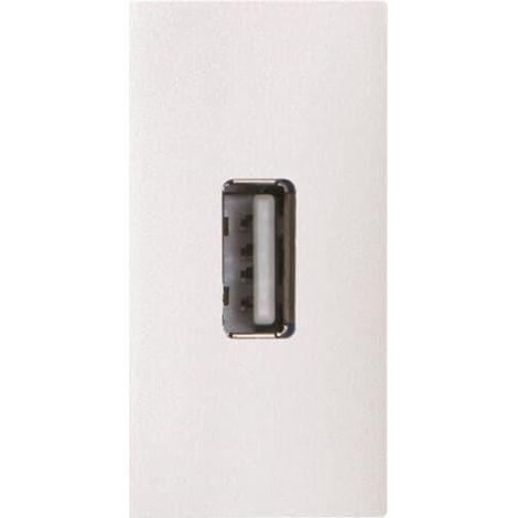 Zenit Chargeur Usb 2.0 - 1M - Blanc - Vis 2CLA215580N1101 ABB N2155.8BL