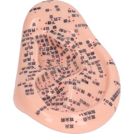 Modèle d'acupuncture auriculaire en silicone gravé de 17 cm (6,7 pouces) pour massage auriculaire à domicile ou en laboratoire. (1/5)