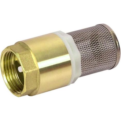 Filtre de tuyau d'arrosage, Kit de filtre d'aspiration, 3/4 pouce, avec clapet de pied et clapet anti-retour. GU.B/bon (1/5)