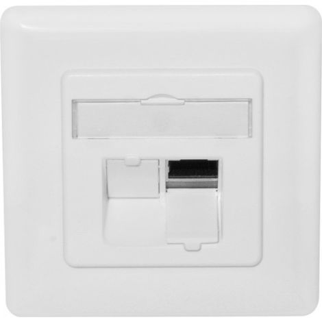 Double prise modulaire pour 2 modules Keystone, vide