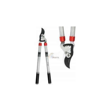 Dedra 80A022 Cesoia a cremagliera telescopica argento (1/5)