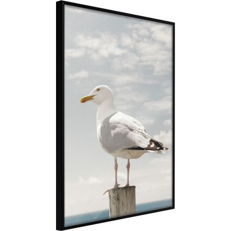 Affiche Murale Encadrée "Curious Seagull" 30 x 42 cm Noir