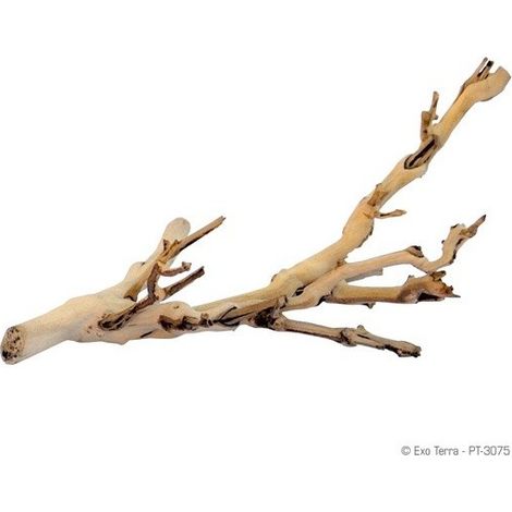 Exo Terra Branch Forest Branch S 30 cm