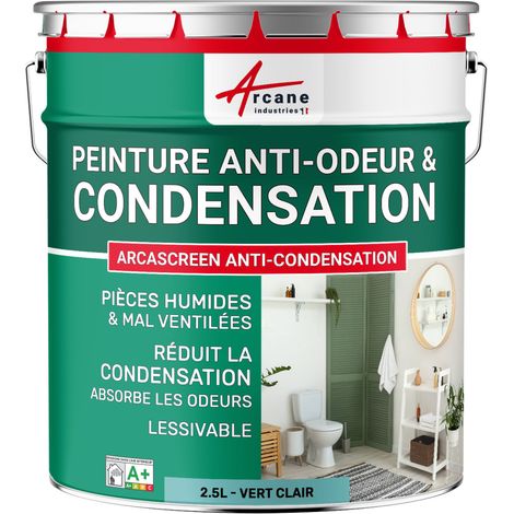 Peinture anti condensation, anti odeur, moisissure - 2.5 L Vert clair - RAL 6027 - ARCANE INDUSTRIES