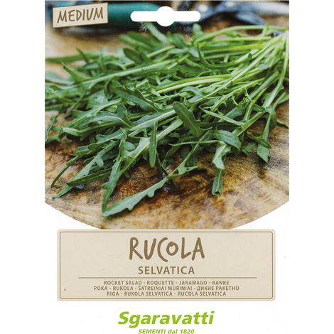 SEMI PER ORTAGGI E VEGETALI rucola selvatica