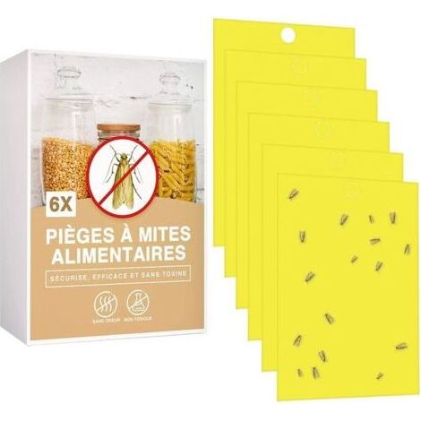 Pair Pièges à Mites Alimentaires Lot de 6 Anti Mite Alimentaire Produit Puissant Piège Collant pour Cuisine Et Placard Piège à Phéromones Efficace Non Toxique (1/4)