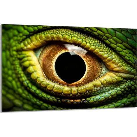 Glasschutzplatte für den Herd 80x52 Oko (1/5)