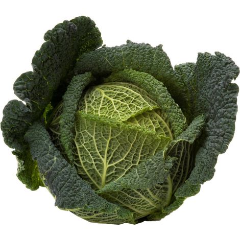 Semi di Cavolo Verza di Piacenza invernale per orto e giardino (1/2)