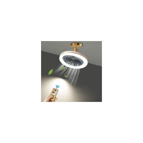 Silencieux Ventilateur de Plafond avec 30W LED Lampe Intégrée et Télécommande Dimmable E27 Petit Lampe de Plafond Ventilateur Chambre Salle a Manger Cuisine Plafonnier Angle Réglable/Éventail gris bor (1/5)