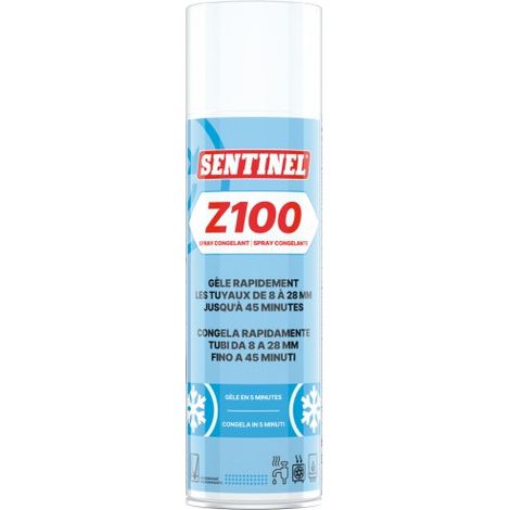 Z100 Congelante Tubo Aerosol