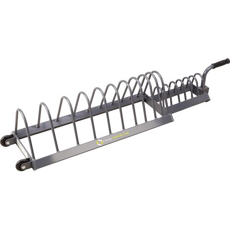 SOPORTE PARA DISCOS DE PESAS WPT01 HMS PREMIUM (1/5)