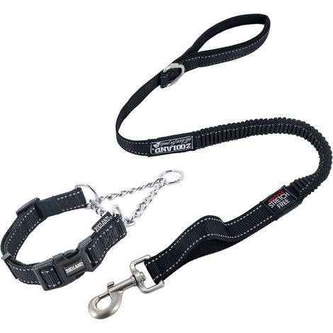 Laisse double, réglable et rotative à 360°, pour 2 chiens, avec élastique réfléchissant, pour chiens de petite, moyenne et grande taille. (1/2)