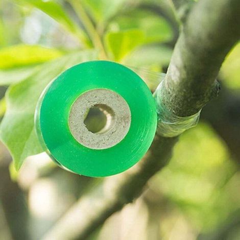 Ruban À Greffer - Polyéthylène Biodégradable - Transparent Extensible Auto-adhésif - Pour Greffage Plantes Fruitiers Légumes - 4 Rouleaux De 100 M × 2 Cm (1/4)