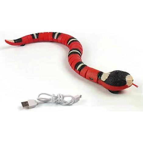 Jouets interactifs intelligents pour chats, serpent électrique automatique, jouet pour chatons, rechargeable par USB (1/5)