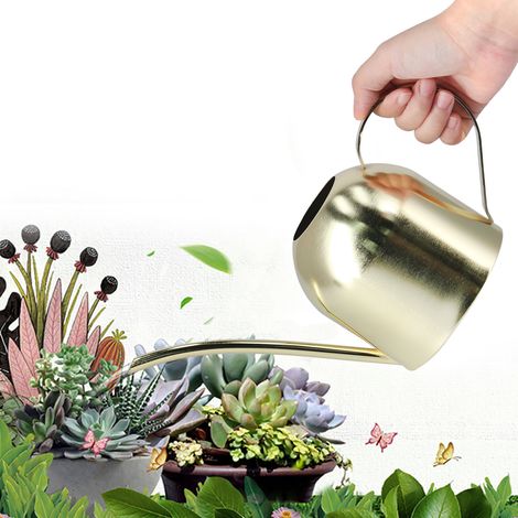 Arrosoir de jardin en acier inoxydable doré de 1000 ml, style vintage, idéal pour les plantes grasses et les plantes vertes. (1/5)
