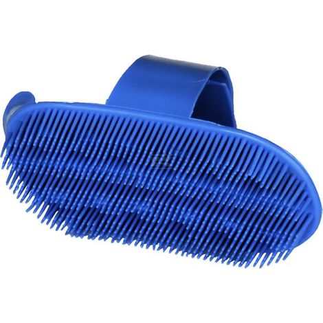 Etrille finlandaise bleue (1/3)