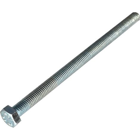Vis métaux Tête hexagonale TH M10X160 Classe 8.8 Acier zingué