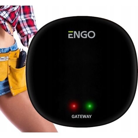 ENGOPasserelle Internet Zigbee 3.0 - Wi-Fi 2,4 GHz - Compatible Smart Home - Installation facile (1/5)