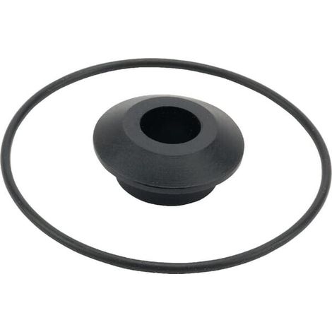 O-Ring/Dichtungen DAB PUMPS R00005452