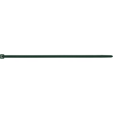 Colliers de serrage Nylon Vert 2.5X100-30 pièces