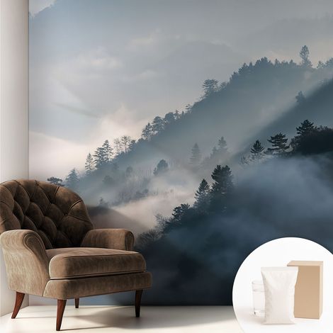 Papier peint intissé avec imprimé pour décoration intérieure pour rénovation a motif - Colle incluse gratuite Paysage brumeux 250x250 cm (1/5)