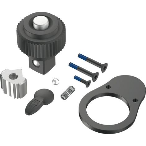 Wera 9909 E 1 Knarren-Reparaturkit für Click-Torque E 1 Drehmomentschlüssel