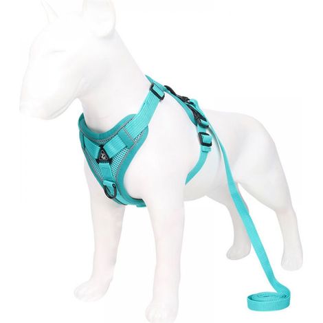 Harnais réglable Anti-éclatement pour Chat avec Laisse - Harnais Souple pour Chat - Harnais de Poitrine pour Chat - Chiot - Lac Bleu S