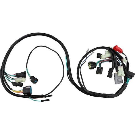 Faisceau électrique principal pour 450R TRX450R Sportrax-- (1/5)