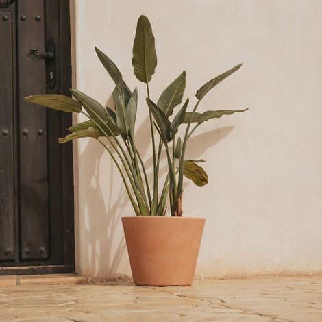 PETUNIA RÚSTICA Macetero Redondo de Interior y Exterior Para Plantas y Flores Muy Resistente al Paso del Tiempo. Hecho de Polietileno en España - Terracota (1/5)