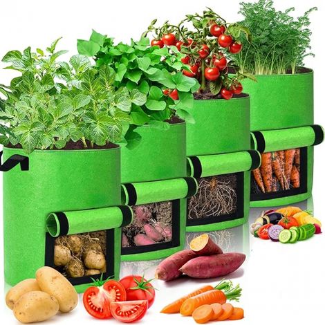 Filiyano-Sacs de culture pour pommes de terre de 40 L, sacs pour plantes, lot de 4 sacs de culture en tissu non tissé avec poignées et sangles (1/5)