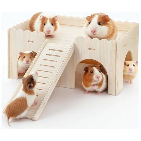 Grande Cabane Cochon d'Inde avec Rampe, avec 4 Entrées, Accessoires de Jouets pour Cochons d'Inde, pour Lapin Cochon d'Inde Chinchilla 38 x 25 x 18cm (1/5)