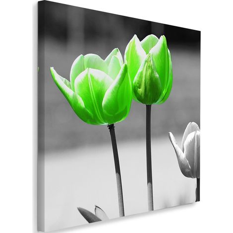 Tableau sur toile Tulipes Fleurs Vertes 40x40 (1/5)