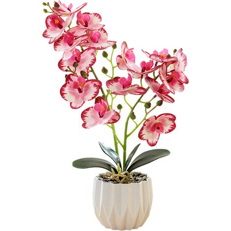 Plante Artificielle - Phalaenopsis Simulée - Pot Plastique - Décoration Intérieure Maison Bureau Café - 1 Pièce (1/5)