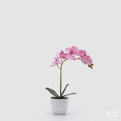 EDG Enzo De Gasperi Orchidea Phalaenopsis con Vaso e Foglie H 40 Cm Pianta Artificiale Fuchsia