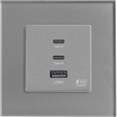 Cargador inteligente 65W, USB tipo A + 2x tipo C,  KOOB frontal cristal gris (1/5)
