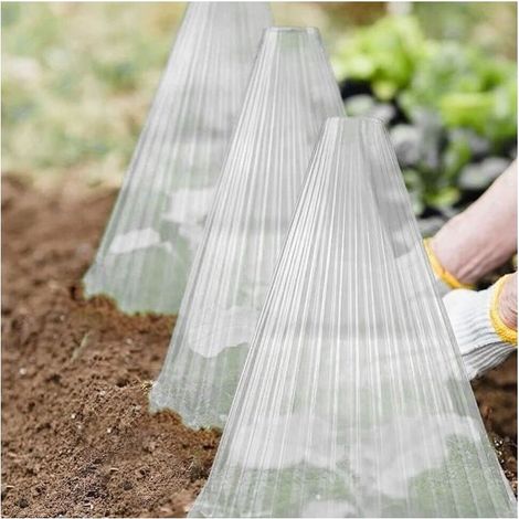 (Transparent)Bell of garden 20 of - Reusable - Protection against the birds - Design rectangular (1/4)