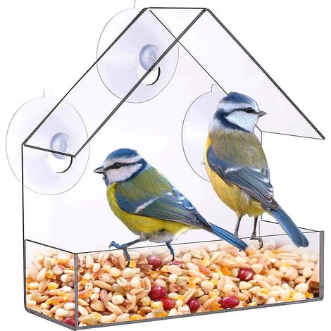 Mangeoire pour oiseaux sauvages avec 3 ventouses puissantes - Acrylique transparent, 15 x 15 x 6 cm (1/5)