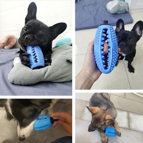 Giocattolo verde per cani, giocattolo da masticare, giocattolo per l'addestramento occupazionale e dell'intelligenza, giocattolo resistente in gomma per cani di taglia media e cuccioli (1/4)