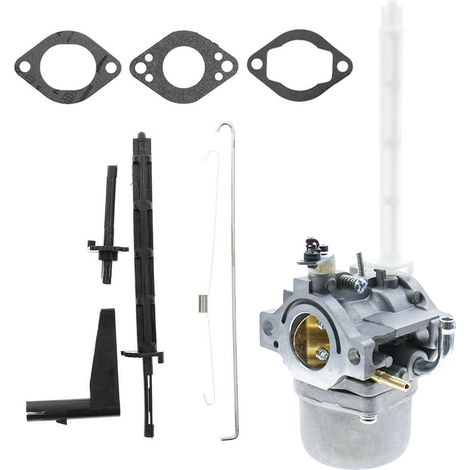 Carburateur pour moteur Briggs & Stratton 794593, 20A414 et 20M114 (référence 796122)