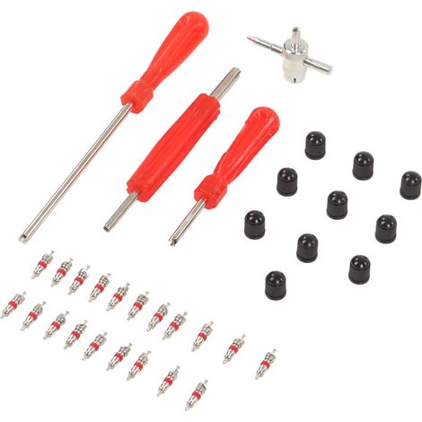 Kit de herramientas para válvulas de neumáticos de 34 piezas, apto para autocaravanas, bicicletas, coches y motocicletas.