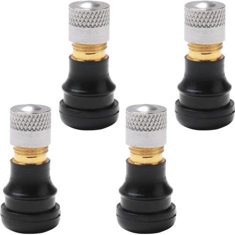 4Pcs Valve d'air de Pneu sous Vide, Valve de Pneu Tubeless pour Trottinette, Pneu Valve Extension Adaptateur Compatible avec Trottinette Ninebot Max G30, M365 Pro/Pro 2/1S (27mm) (1/5)