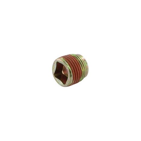 BOUCHON DE VIDANGE BRIGGS ET STRATTON 691680