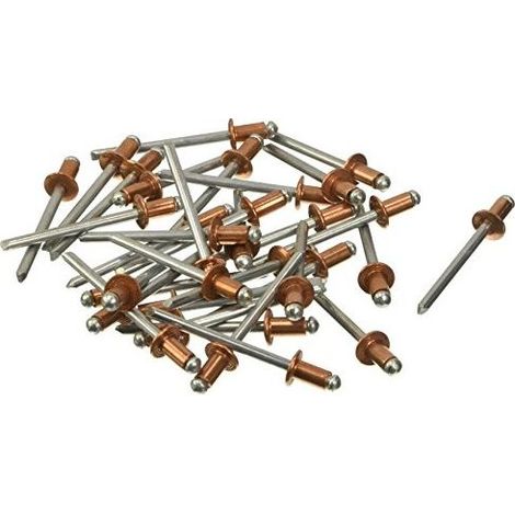 BLINKY 5018048 Rivetti Rame 4.8 x 9 mm 1000 Pezzi colore Rame