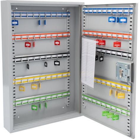 Armoire à clés Murale, Bandes de Crochets et Porte-clés colorés, registre à clés Amovible, avec Cylindre profilé 30/10 et 3 clés, 100 Crochets, 6850/100 PZ, Gris (1/5)
