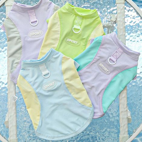T-shirts personnalisés - Gilet rafraîchissant - Gilet pour animaux avec anneau en D - Convient aux petits chiens et chats - Violet gris + vert violet + vert jaune + jaune bleu - Taille M (Tour de poit (1/4)