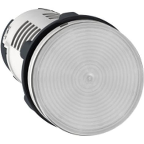 Piloto LED INCOLORO 24V AC/DC IP65 - iluminación segura y resistente al agua.