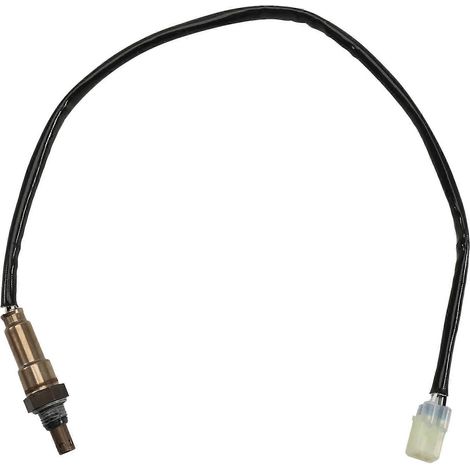 Motorcycle Oxygen Capteur pour Benelli TNT125 TNT135 TNT150i BN125 BN150S 150S 180S 31902V020000 319024040001