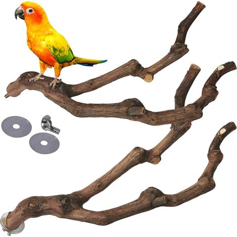 Percha natural para loros, poste para pájaros, palo de uva silvestre, horquilla para afilar las patas, juguete para trepar, ramas para periquitos, accesorios masticables para jaulas de periquitos pequ