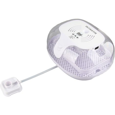 Petit incubateur intelligent pour œufs de pigeons et de volailles, 16 œufs, norme européenne 220 V (1/5)